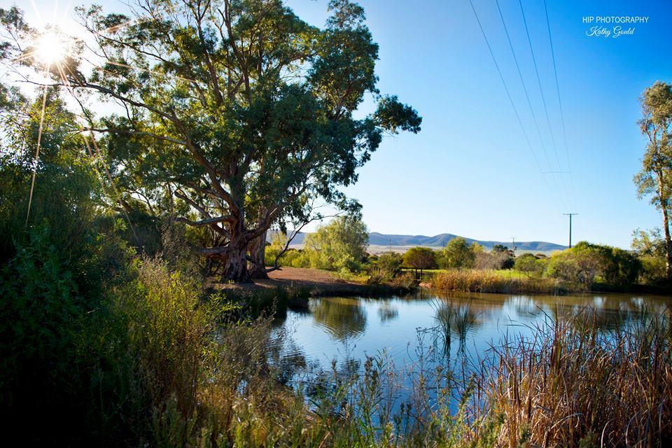 Still Earth Port Pirie Exterior photo